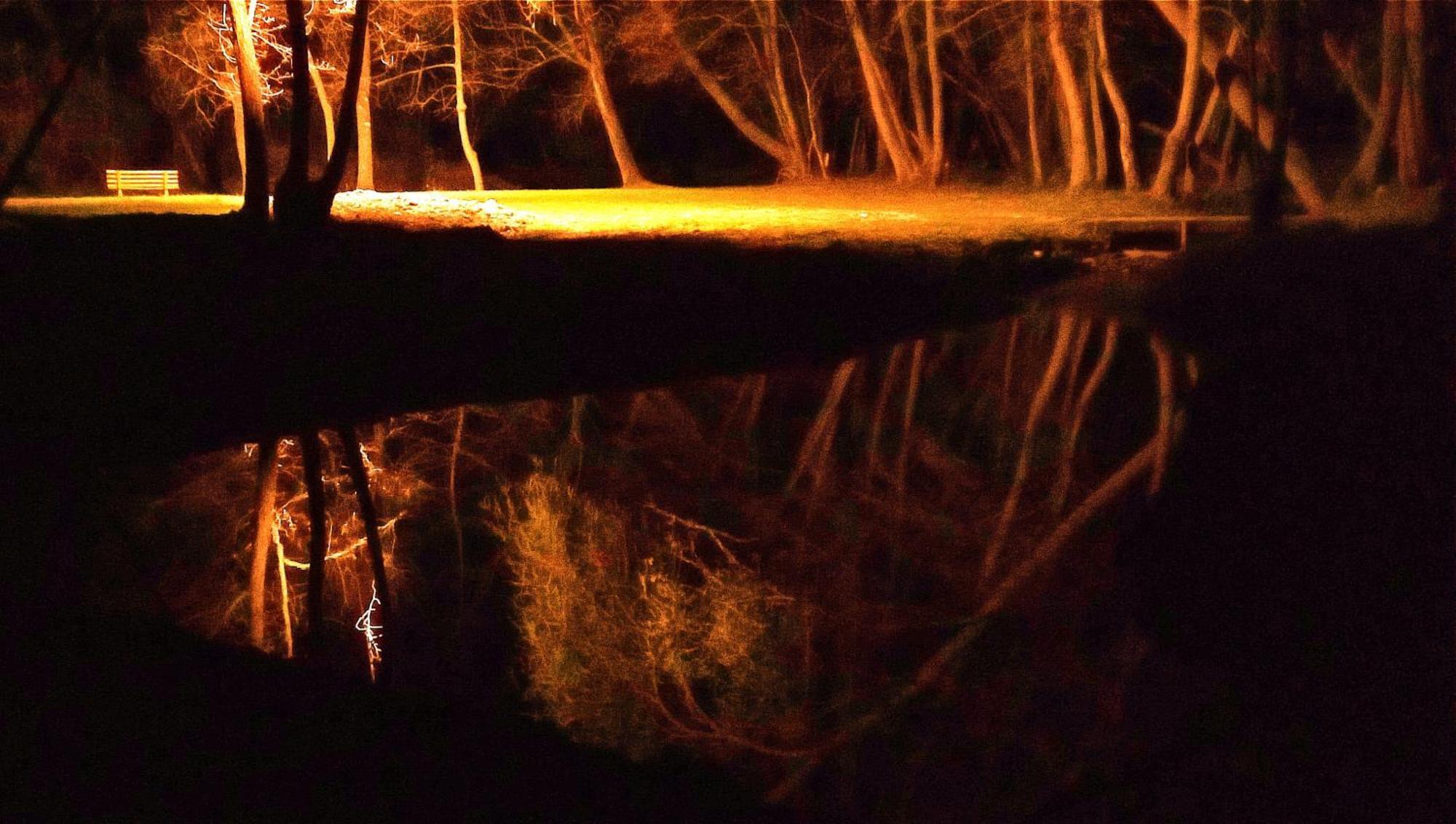 Вилла La Regina Del Bosco Rivignano Экстерьер фото
